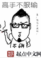 高手不服輸在線閱讀