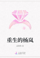 重生的楊嵐在線閱讀