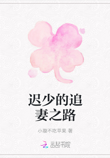 遲少的追妻之路
