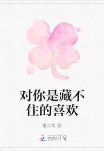 對你是藏不住的喜歡