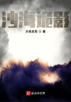 沙海詭影在線閱讀