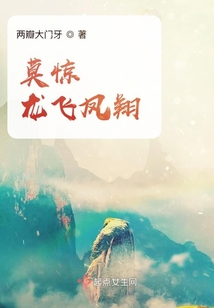 浮生錄之龍飛鳳翔