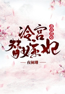 冷宮替嫁妃：青點君心
