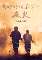 我的游戏名字叫夜火在线阅读