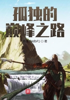 孤獨的巔峰之路在線閱讀