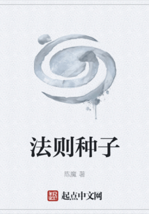 法则种子