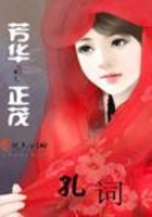 芳華正茂在線閱讀