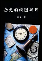 历史的拼图碎片在线阅读