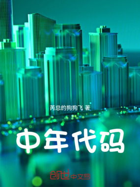 中年代码在线阅读