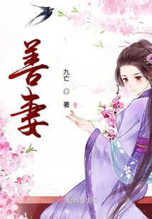 善妻在线阅读