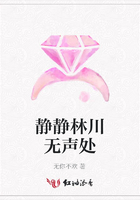 靜靜林川無聲處在線閱讀
