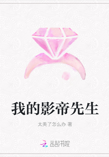 我的影帝先生