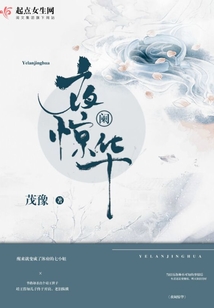 夜闌驚華