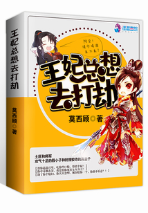 王妃總想去打劫