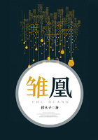 雛凰在線閱讀