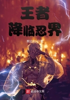 王者降临忍界