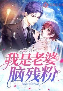 我是老婆腦殘粉