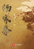 杨家拳在线阅读