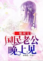 一胎雙寶：國民老公，晚上見在線閱讀
