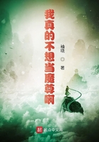 我真的不想当魔尊啊