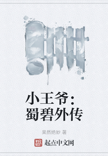 小王爺：蜀碧外傳
