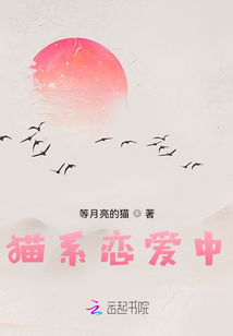 貓系戀愛中