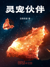 靈寵伙伴