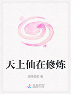 天上仙在修炼在线阅读