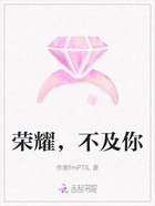 荣耀,不及你在线阅读