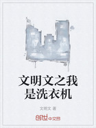 文明文之我是洗衣机在线阅读