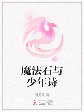 魔法石与少年诗在线阅读