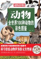 动物：全世界100种动物的彩色图鉴（彩图精装）在线阅读