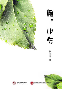 喂，少年