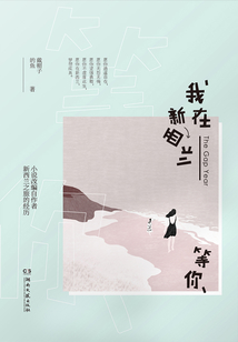 我在新西兰等你
