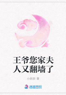 王爺您家夫人又翻墻了