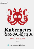 Kubernetes网络权威指南：基础、原理与实践在线阅读