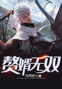 赘婿无双