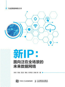 新IP:面向泛在全場景的未來數(shù)據(jù)網(wǎng)絡(luò)