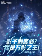 影子刺客弱?我是万影之王!在线阅读
