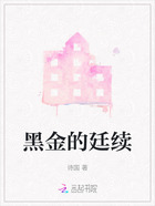 黑金的廷續在線閱讀
