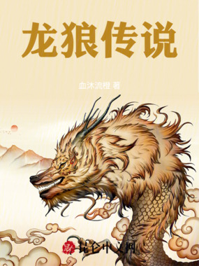 龙狼传说在线阅读