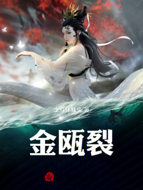 金瓯裂在线阅读