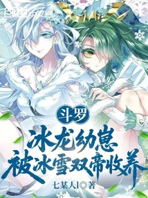 斗罗:冰龙幼崽,被冰雪双帝收养 封面