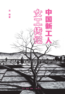 中国新工人：女工传记 封面