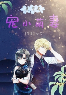 裴少高寵小萌妻