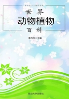 世界动物植物百科(新世纪少儿知识百科)在线阅读