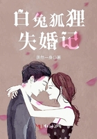 白兔狐貍失婚記在線閱讀