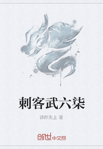 刺客武六柒