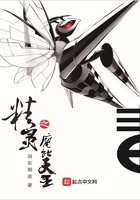 精靈之腐蝕天王在線閱讀