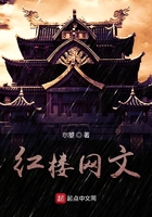 红楼网文在线阅读